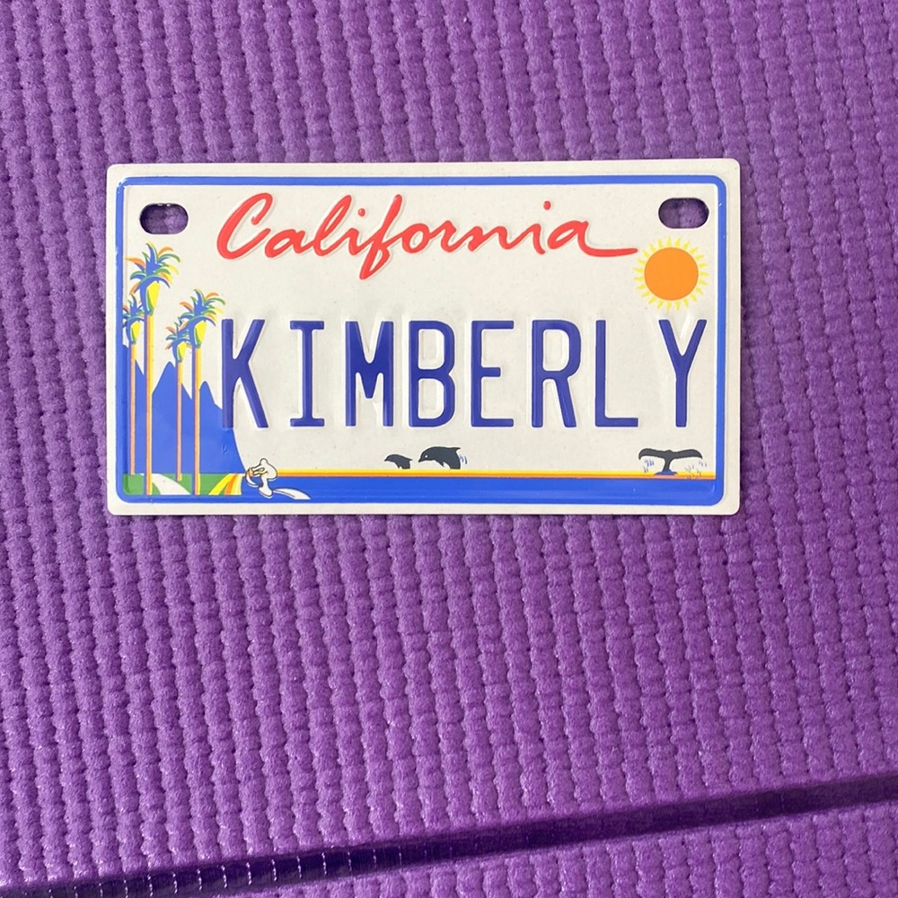 Mini Bike plate